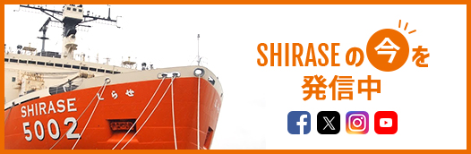 SHIRASEの今を発信中