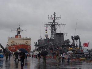 _p7090064-%e3%81%ae%e3%82%b3%e3%83%92%e3%82%9a%e3%83%bc