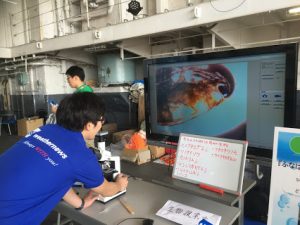 54403327-ecb0-4d99-92c7-2d97bff9eb8e