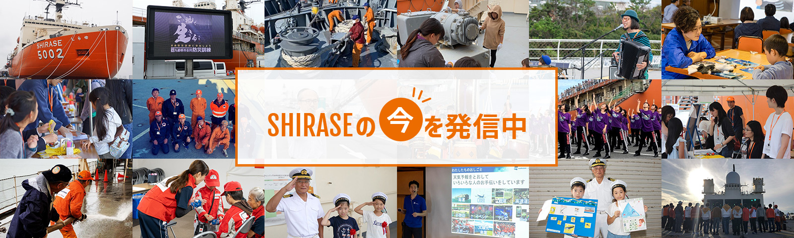 SHIRASEの今を発信中