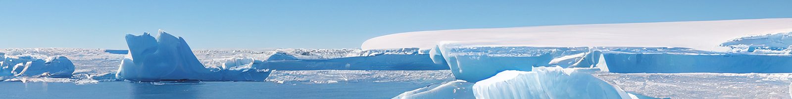 プライバシーポリシー